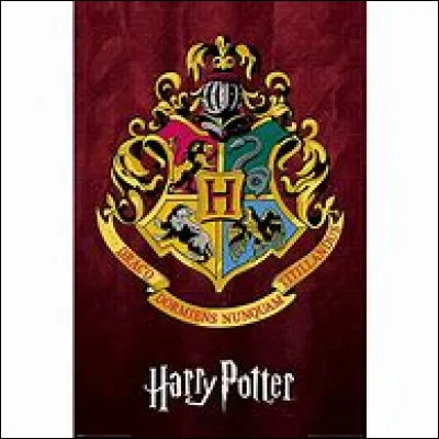 Enfin, nous savons tous que le Choixpeau prend compte des d&eacute;cisions. Quel est votre maison pr&eacute;f&eacute;r&eacute;e ?