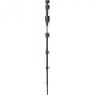 Quel est le c�ur de votre baguette magique ?