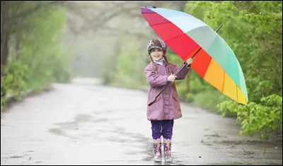 Par quoi commence le film ?