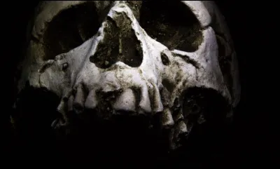 Qui meurt en premier dans le film ?