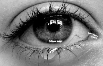 Au final, est-ce que le petit frère est vivant ?