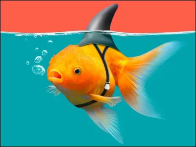 Quel mot correspond à cette définition : je suis un poisson ?