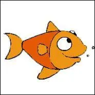 Une finale France Italie est-elle possible ?