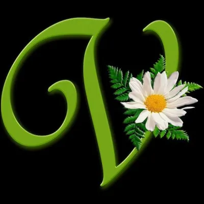 Une question pas facile avec le prénom de l'architecte Vauban !