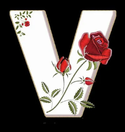 Trouvez encore l'initiale du prénom du célèbre cuisinier Vatel !