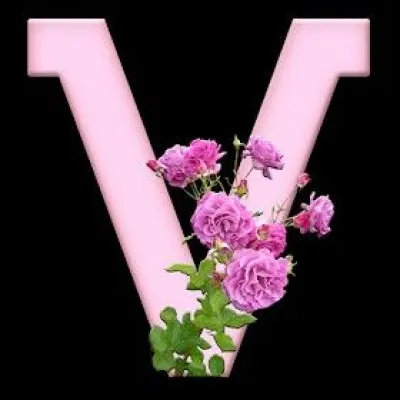 Quelle initiale pour van Gogh ?