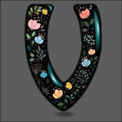 Toujours dans le domaine des écrivains, je cherche le prénom de Vargas :