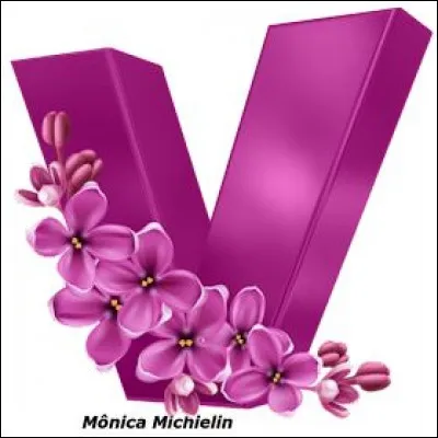 Je cherche l'initiale du prénom du peintre Vélasquez :