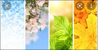 Quel est ton mot préféré ?