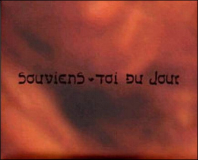 Quelle chanteuse franco-canadienne est l'interprète du titre ''Souviens-toi du jour...'' sur une musique de Laurent Boutonnat ?
