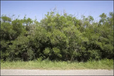 Commune du département de la Lozère, située en bordure de l'Aubrac, près de Marvejols :