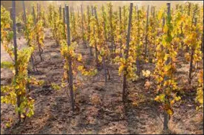 Commune du département du Rhône, près de Givors :