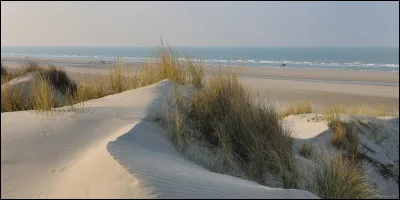 Commune du département du Tarn-et-Garonne, située près de Valence d'Agen, sur la rive gauche de la Garonne :