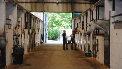 Commune du département du Pas-de-Calais, située près d'Arras :