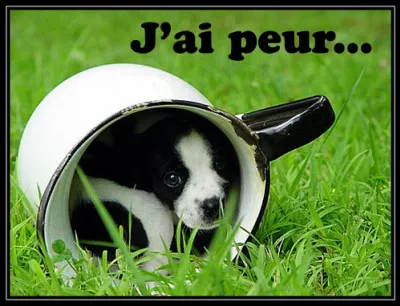 Commune du département de la Charente-Maritime, située sur l'île de Ré :