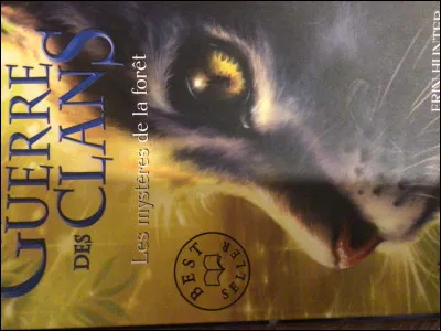 Quelles sont tes couleurs pr&eacute;f&eacute;r&eacute;es ?