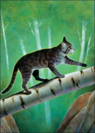 Tu pr&eacute;f&egrave;res que ton nom commence par�