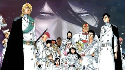 Si Tite Kubo était censé être un membre de division dans Bleach, qui serait-il ? (source : Interview Shonen Jump)