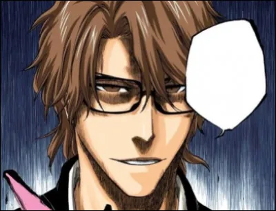 Comment s'appelait le Hollow de l'expérience d'Aizen ?