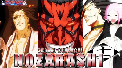 Quelle a été la première chose que Yachiru a faite en voyant Zaraki ?