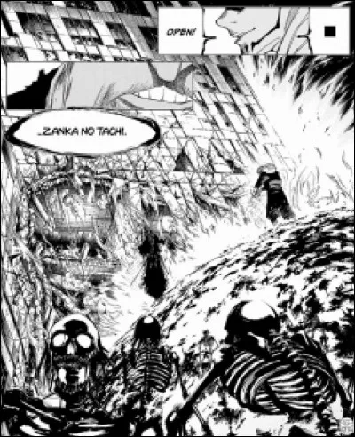 Qu'est censé représenter le Bankai de Yamamoto ?