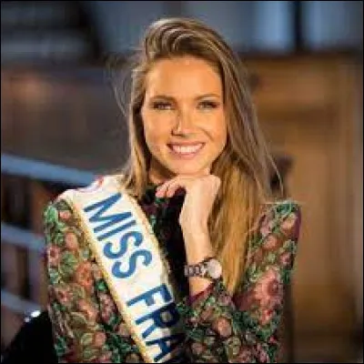 La Miss France 2021 s'appelle Amandine Petit.