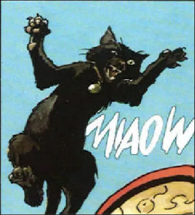 Quel est le nom de ce personnage ?