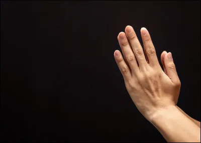 Quel acteur est à l'affiche du film "La Main au collet" ?