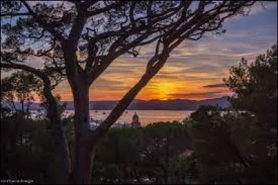 Qui est l'auteur du roman "Coucher de soleil à Saint-Tropez" publié en 2004 ?
