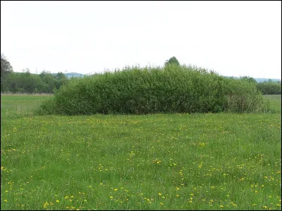 Commune d'à peine 100 habitants, située dans le département de la Marne, près Vitry-le-François :