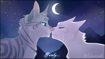 De qui est amoureux il de Geai ?