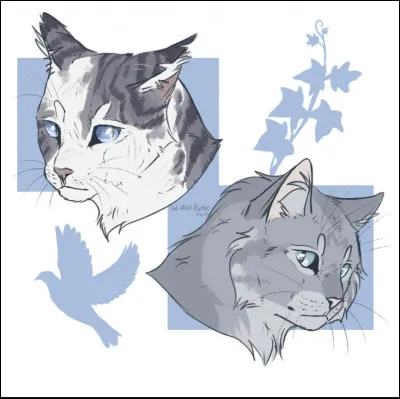 Que pense il de Geai en entendant parler des chatons d'Aile Blanche ?