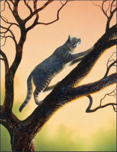 Comment il de Geai s'y prend-il pour convaincre Pelage de Granit de ne rien révéler à l'assemblée ?