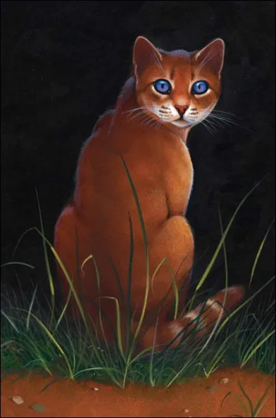 Pourquoi Pelage de Lion ne veut-il plus approcher Nuage de Myosotis ?