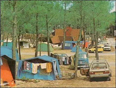 Dans cette forêt de pins quelle est cette auto ?
