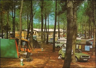 Cette auto-là semble jouer à cache cache derrière le pin. Quel est ce modèle ?