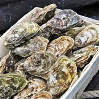 Quelle ville bretonne est r&eacute;put&eacute;e pour son &eacute;levage d�hu&icirc;tres reconnu par l�UNESCO ?