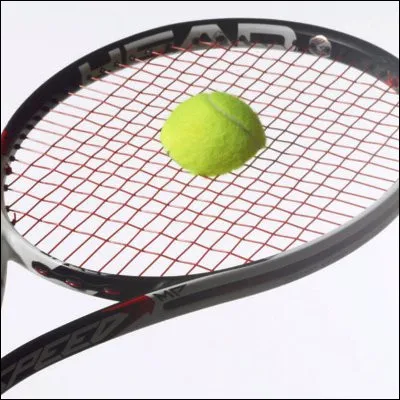 Quel tennisman fran&ccedil;ais, vainqueur de 14 tournois, atteint les demi-finales du Masters 2008 apr&egrave;s avoir battu Roger Federer en poule ?