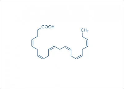 Les acides gras poly-insaturés...