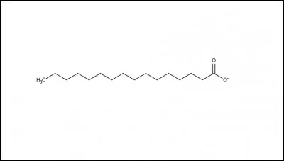 Donnez la nomenclature et le nom de cet acide gras :