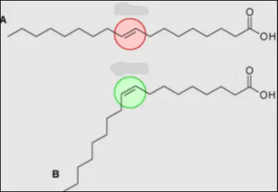 Les acides gras qui ont une conformation trans sont...