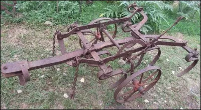 Les films de 1951, Avions à réaction et Cadets en vacances sont...