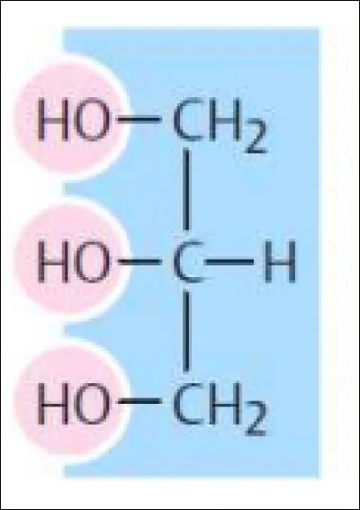 La molécule représentée est :