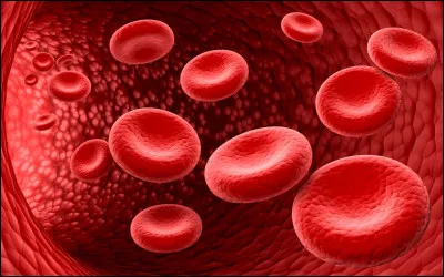 Sciences : Quelle est la particularité d'un individu de groupe sanguin O négatif ?