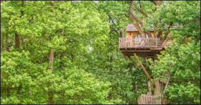 Tu préfères vivre :