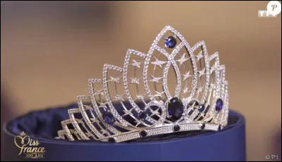 Enfin, quelle Miss a été sacrée "Miss France 2022" ?