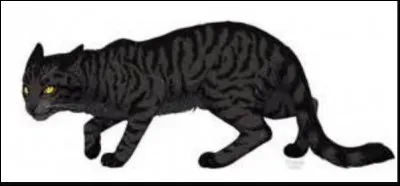 Qui Éclair Noir empoisonne-t-il avec les baies ?