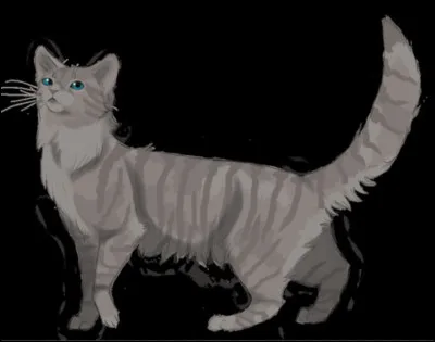 Pourquoi Museau Cendré devient-elle guérisseuse ?