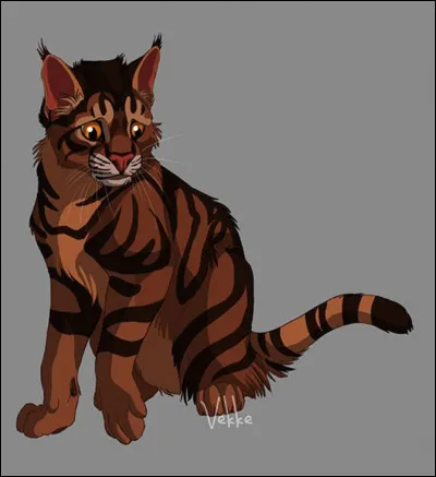 Qui sont les partisants d'Étoile du Tigre ?