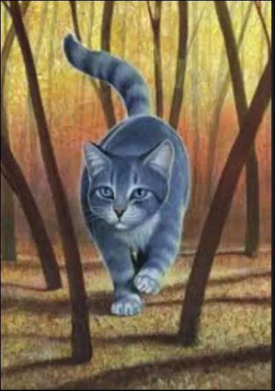 Qui est la mère adoptive de Pelage de Silex et Patte de Brume ?